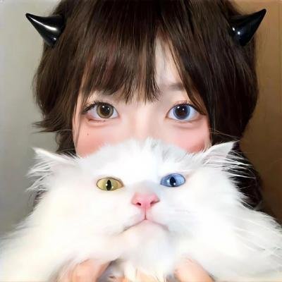 蝙蝠侠大战双面人